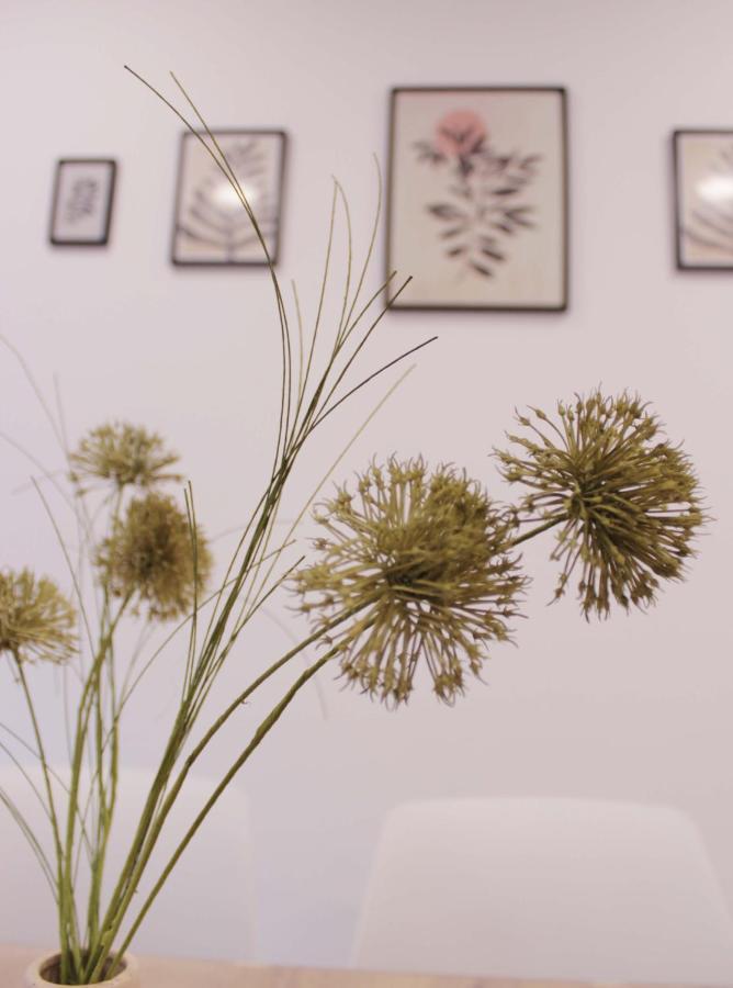 Cuenca Home Εξωτερικό φωτογραφία